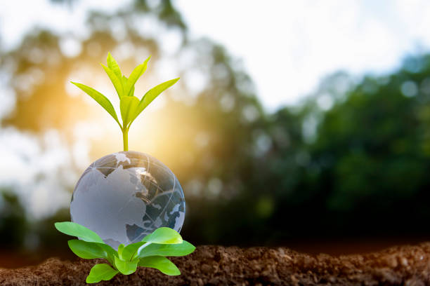 istock Renewable energy concept Earth Day or environment protection Hands protect forests that grow on the ground and help save the world. 1311237804