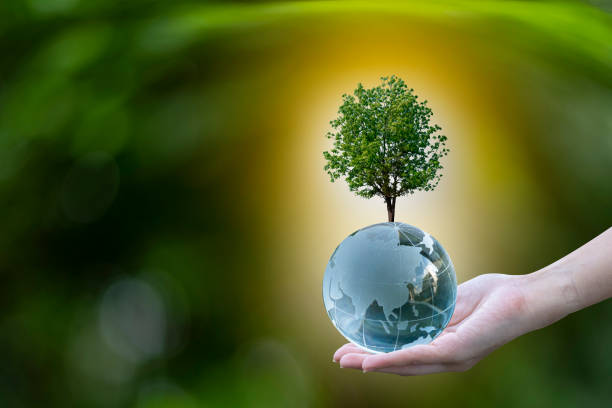 istock Renewable energy concept Earth Day or environment protection Hands protect forests that grow on the ground and help save the world. 1311237813