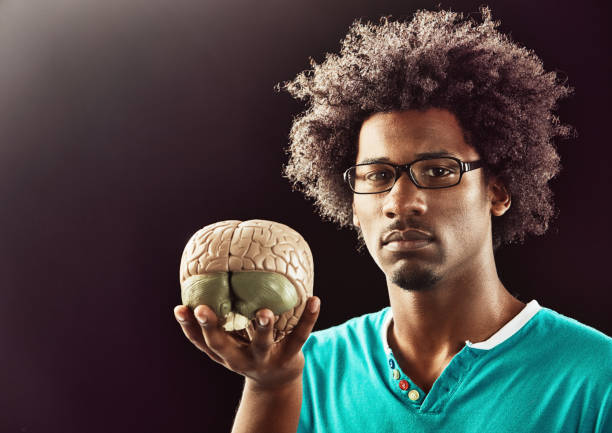 Characterful young man holds out a model of a human brain, with plenty of copy space.