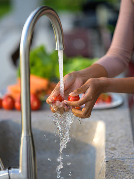 istock Woman's hands washing tomatoes in garden sink 1311243540