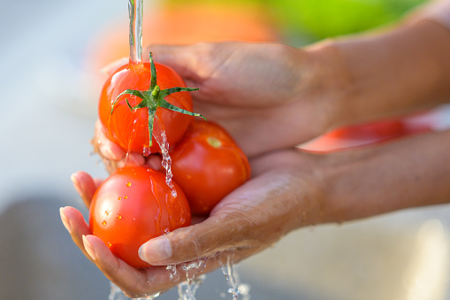 Close-up of woman's hands washing tomatoes in garden sink.