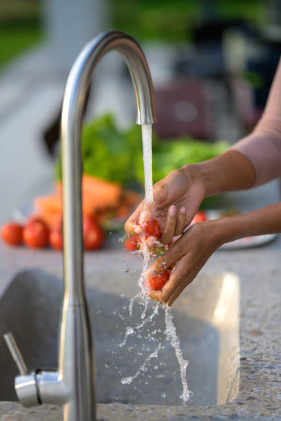 istock Woman's hands washing tomatoes in garden sink 1311243852