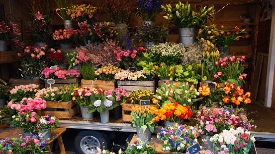 Market stall with flowers at a weekly market in Hamburg
