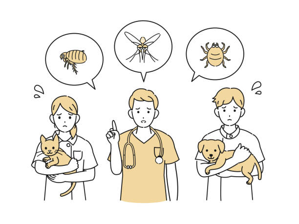 獣医師と害虫の説明のイラスト - flea点のイラスト素材／クリップアート素材／マンガ素材／アイコン素材