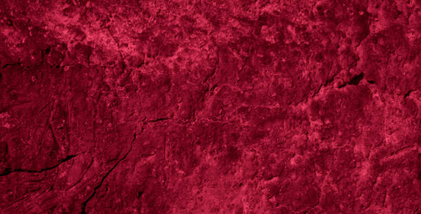 istock macro photo of red brick with visible texture. background 1311246758