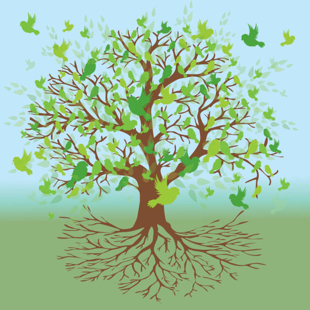 ilustraciones, imágenes clip art, dibujos animados e iconos de stock de árbol de la vida versión de pájaro verde - yggdrasil