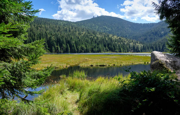 Beautiful view on the lake kleiner Arbersee