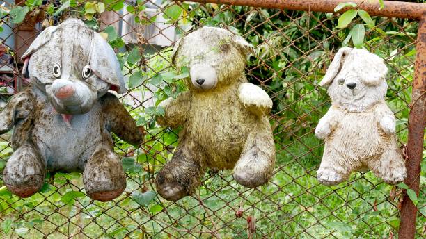 Three dirty dolls hanging  on the  rusty fence in Thailand, weird and funny photo.
