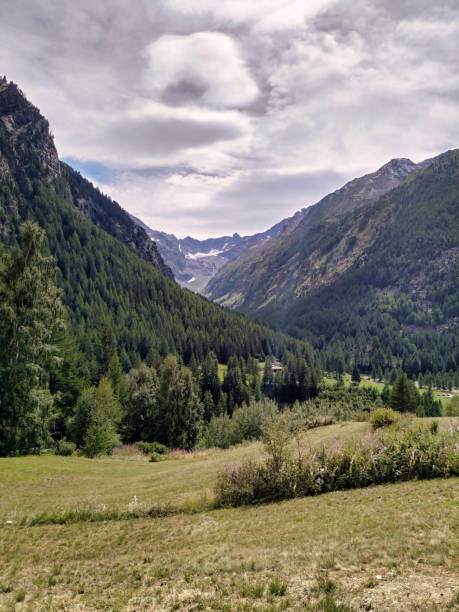 istock Excursions in Nature - Mountain Valleys - Alps - Italy 1311254180