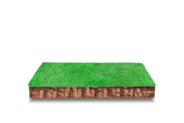 istock 3D render. Soil cubical cross section with green grass isolated on white background 1311254213