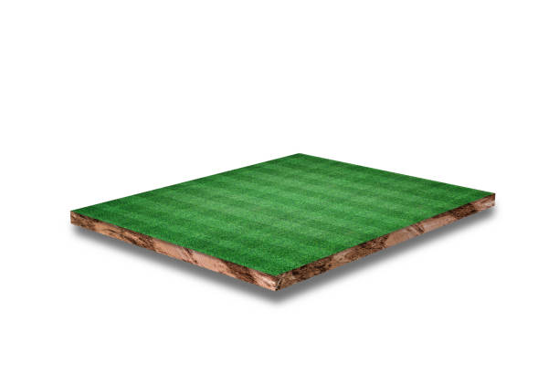 istock Soil cubical cross section with soccer field, green grass, Isolated on white background. 3D Rendering. 1311254277