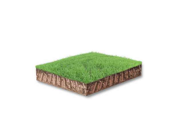 istock 3D render. Soil cubical cross section with green grass isolated on white background 1311254923