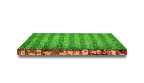 istock Soil cross section with grass soccer field Isolated on white background. 3D Rendering. 1311255422