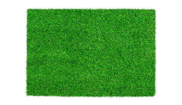 istock Green grass isolated on white background. Top view 1311256206
