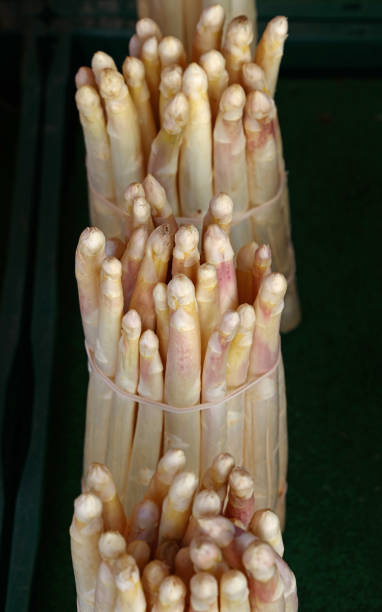 istock Bunch of fresh white asparagus shoots close up 1311256256