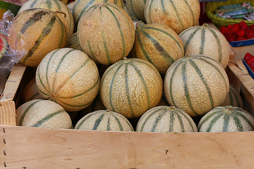 Close up of a pile of beautiful delicious green watermelons on the market bench or counter. Agricultural background concept.