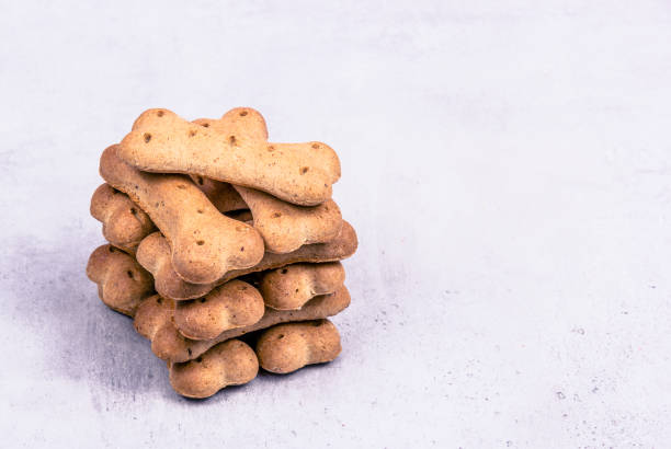 Cookies for dogs copy space. Dog food stock photo