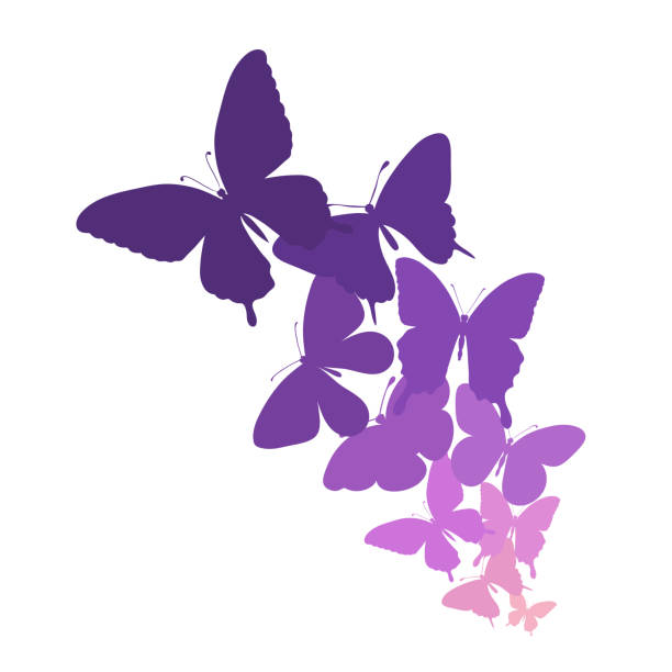ilustrações, clipart, desenhos animados e ícones de fundo com uma borda de borboletas voando - butterfly