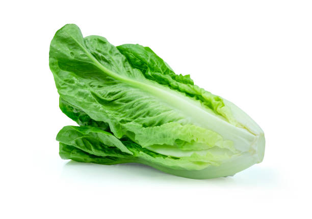 istock Fresh green Lettuce leaves, Salad leaf isolated on white background. with clipping path. 1311259992