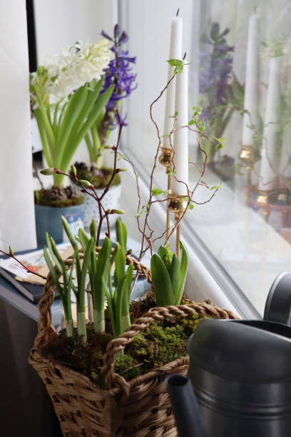 istock Beautiful spring plants and decoration on window sill 1311261662
