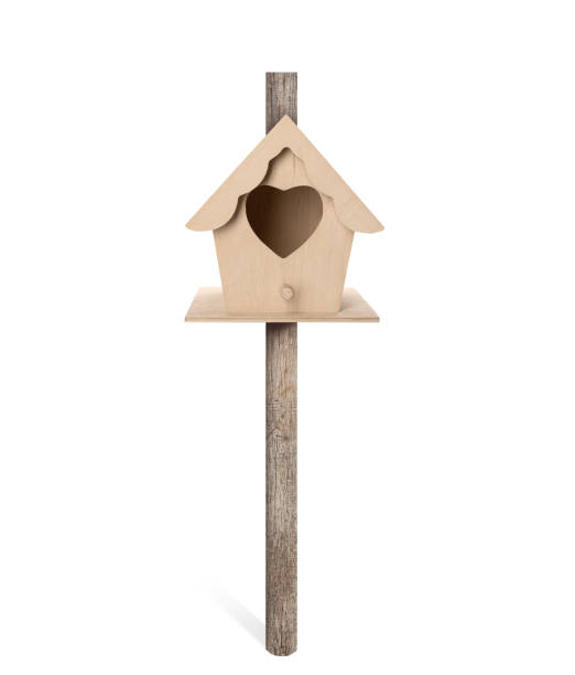 istock Beautiful wooden bird box isolated on white 1311261697
