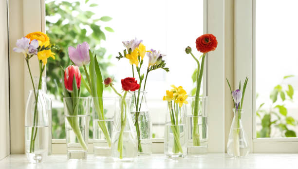 istock Beautiful spring flowers in glassware on window sill 1311262719