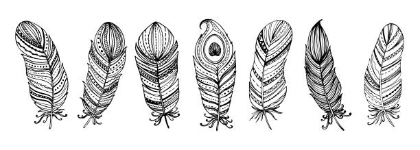 istock Set of black and white feathers collection. Floral hand drawn vintage set. Sketch art doodle illustration. Element design for greeting cards and invitations 1311264582