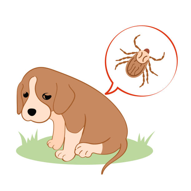 istock Vector illustration puppy dog feels bad from a tick bite. Tick season, dog grooming. 1311264802