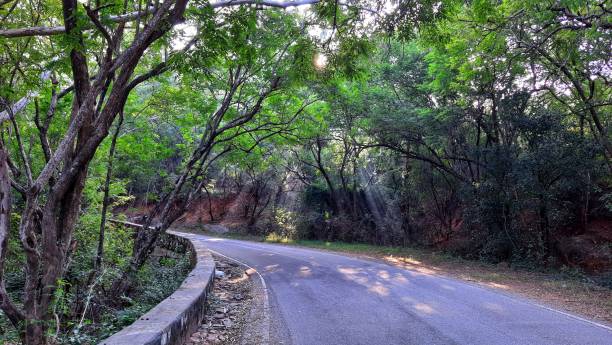 istock Road on Horsley Hills 1311266313