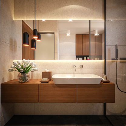 Interior Design. Architecture. Computer generated image of bathroom. Architectural Visualization. 3D rendering.