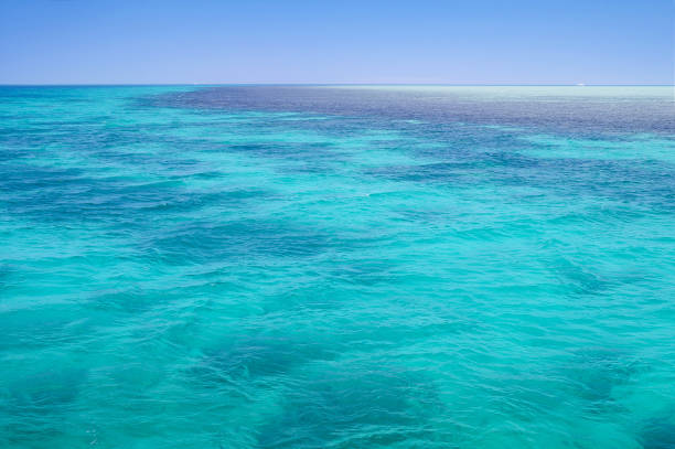 istock Red Sea background, blue water, coral reef 1311267820