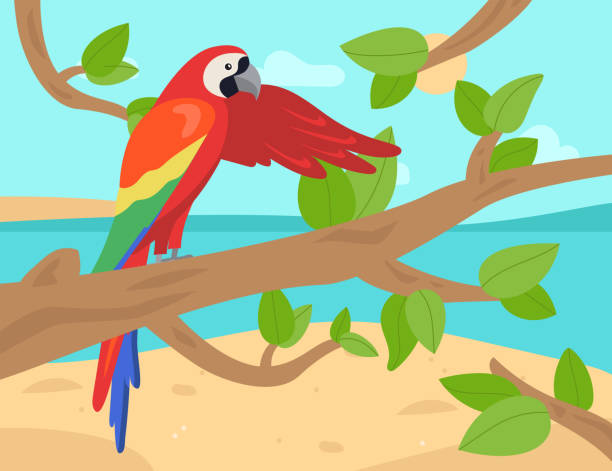 ilustrações, clipart, desenhos animados e ícones de papagaio exótico em galho de árvore em frente ao fundo da ilha - branch bird flying pets