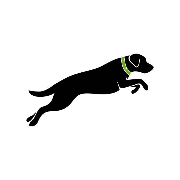 wektor sylwetki czarno-białego skaczącego psa - white background side view dog boxer stock illustrations