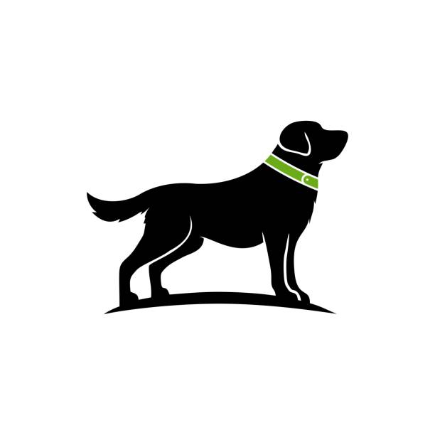 czarno-biały wektor sylwetki psa - white background side view dog boxer stock illustrations