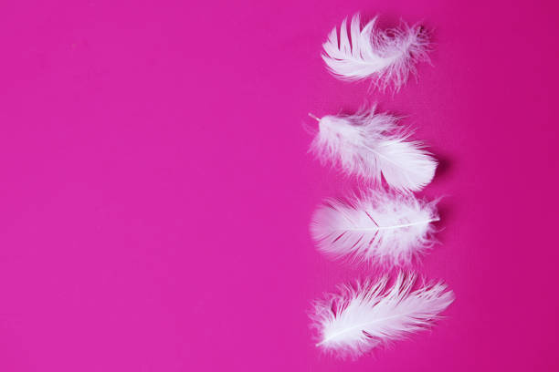 istock beautiful goose feather with down on a bright colored background close-up. with the ease of a pen, airiness and lightness. weightlessness. spa salons 1311274206