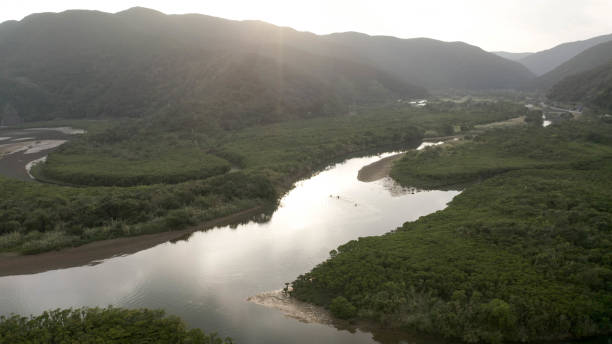 istock beautiful river on the island 1311274870