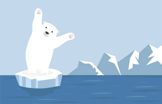nordpol arktische landschaft mit eisbär - eisbär stock-grafiken, -clipart, -cartoons und -symbole