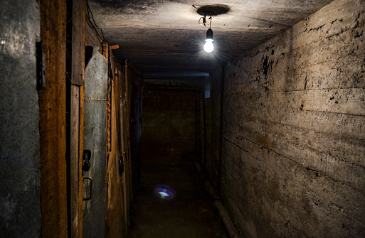 A terrible dark concrete corridor in the basement with locked doors on the sides, lit by a single light bulb hanging from the low ceiling.