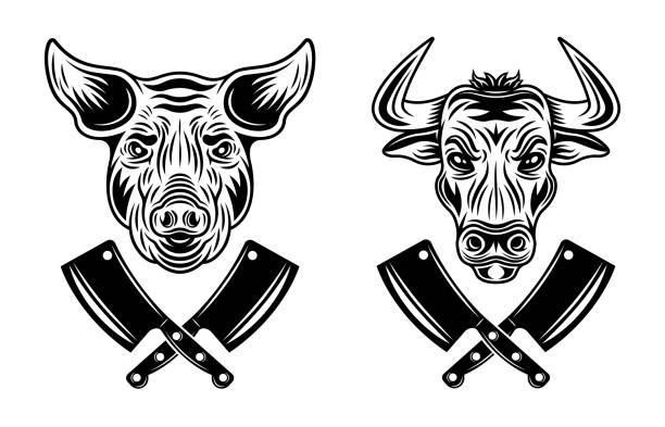 황소 머리와 돼지 머리 벡터 정육점 개체 또는 흰색 배경에 고립 된 흑백 스타일의 요소 - pig piglet butcher ranch stock illustrations