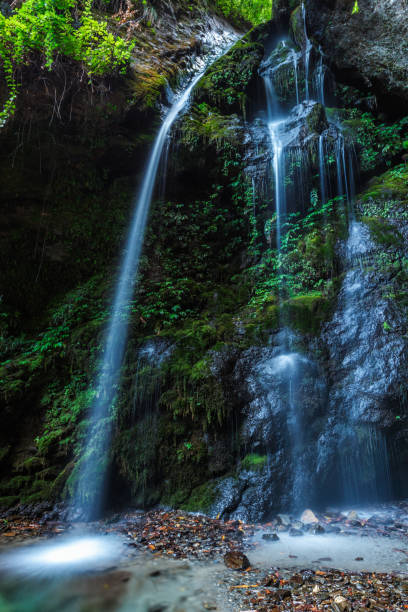 istock Small waterfall. Jibi, Himachal Pradesh, India 1311277696