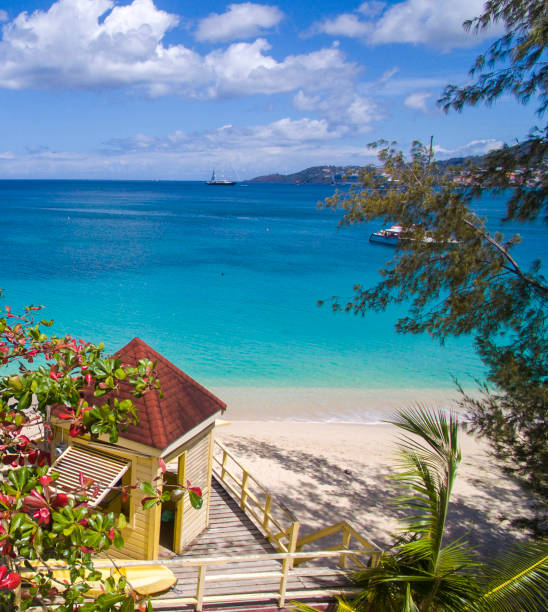 istock Grand Anse Beach, Grenada | Caribbean Sea 1311279417
