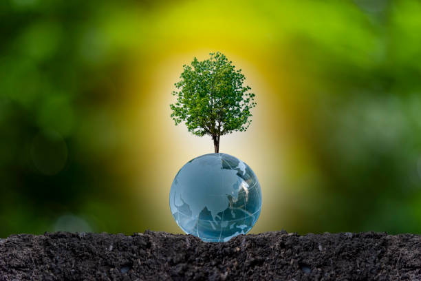 istock Renewable energy concept Earth Day or environment protection Hands protect forests that grow on the ground and help save the world. 1311286419