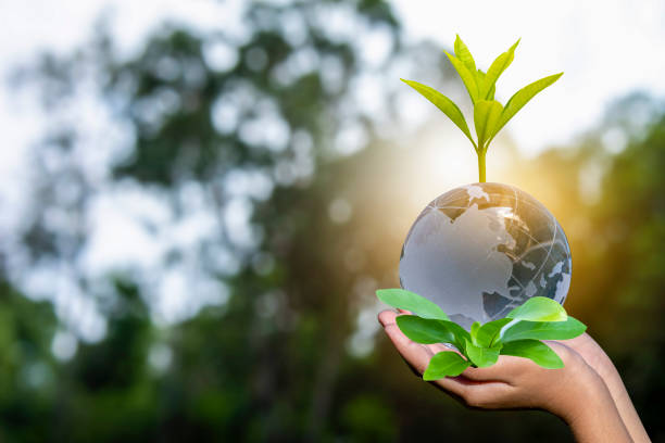 istock Renewable energy concept Earth Day or environment protection Hands protect forests that grow on the ground and help save the world. 1311286420