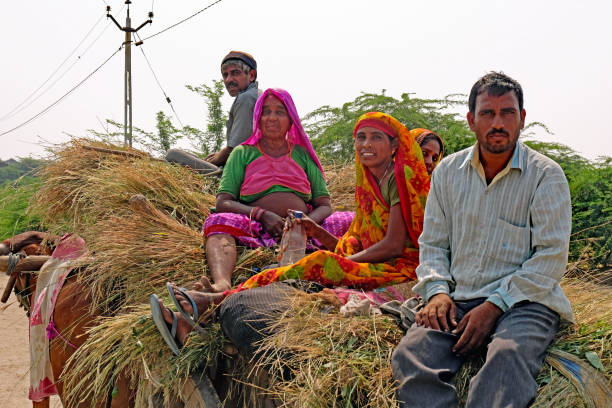 Homeward bound in rural Gujarat Gujarat, India - October 30, 2016: Weary family members returning home at the end of a day spent bringing in the harvest on their nearby smallholding homeward stock pictures, royalty-free photos & images