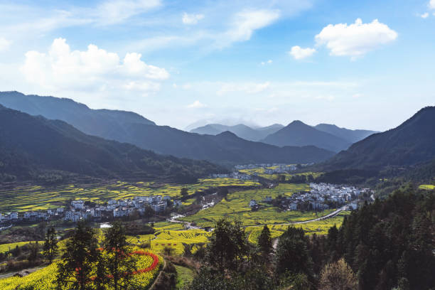 Rape Flower Scenic Area, Wuyuan County, China