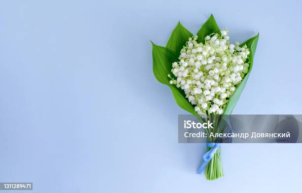 A Bouquet Of Lilies Of The Valley Tied With A Blue Ribbon On A Blue Background Copy Space Top View Stock Photo - Download Image Now