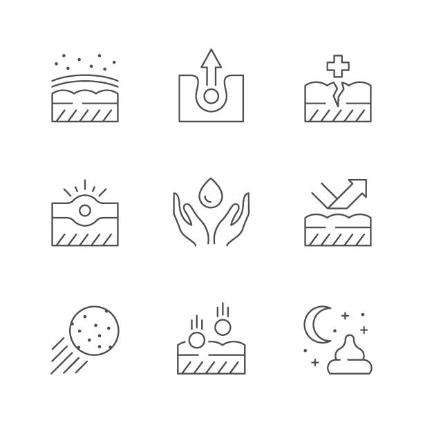 Set line icons of skin care Set line icons of skin care isolated on white. Beauty procedure, night cream, acne, dermatology, moisturizer, hygiene routine, cosmetology product. Vector illustration porous sponge stock illustrations