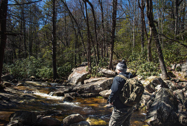 istock Man hiker looking out in to the nature 1311291071