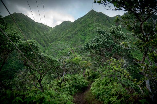 istock Power lines running through a tropical mountain range in Hawaii 1311291135