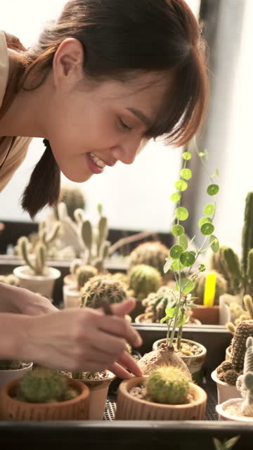 Young woman spending time to farming cactus in greenhouse.